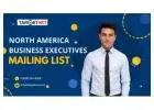 100% Verified North America Business Executives Mailing List providers in USA.