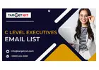 Certified C Level Executives Email List Providers In USA-UK