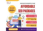 Our Affordable SEO Packages | Impactful Budget
