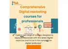 Comprehensive Digital marketing courses for professionals 