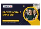 Highly responsive Professionals Email List in USA-UK
