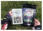  Cultivate Your Wellness Garden with Medicinal Seed Kit: A Green Revolution for Holistic Health