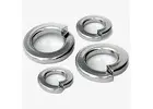 Buy SS Spring Washers