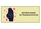 Astrologer in Yeswanthpur