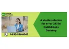 Technical Solution For Error 213 in QuickBooks Desktop