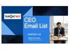 100% Opt-in CEO Email List in USA-UK