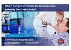 Paternity DNA Tests— Confirm the Biological Father of the Child