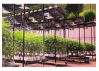 wholesale hydroponic supplies