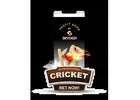 Get Cricket Betting Suggestion From Cricket Betting ID Provider