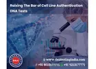 Why is a Cell Line Authentication DNA Test Required?