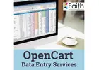 Engage your Users with OpenCart Data Entry Services at Fecoms