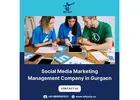 Social Media Marketing Management Company in Gurgaon - Why Shy