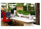 Top Tips for Selecting Office Plants in Melbourne