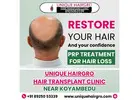 best hair transplant clinic in tamilnadu