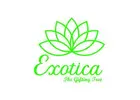 Stunning Transparent Balloons from Exotica - The Gifting Tree