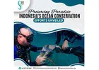 ocean conservation Indonesia                                                           