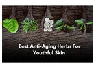 Best Ayurvedic Herbs for Slowing Down Aging in India
