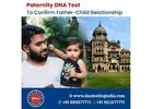 How Long Does it Take to Get Paternity DNA Test Results in India?