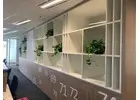 Why Are Office Plants a Great Addition to Open Office Layouts?