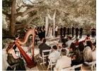 Discover the Best Places for Weddings in Los Angeles - The 1909