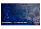 Explore the Benefits of DNA Testing Services in India