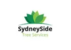 Tree Trimming Sydney: Call SydneySide Experts in Shaping Your Landscape