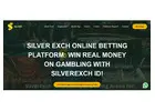 Silverexch: Experience the thrill of online betting 