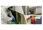 Effective Mould Cleaning Services in Melbourne