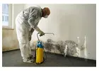 Trusted Mould Removal Specialists in Melbourne