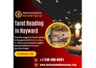  Tarot Reading in Hayward