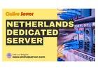 Netherlands Dedicated Server Hosting: Onlive Server's Optimal Solutions
