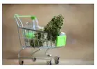 Fast Less Than 2 hours Weed Delivery in Hamilton