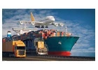 Seamless Logistics: OLC Shipping's Tailored Freight Forwarding Solutions