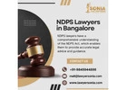 NDPS Lawyers in Bangalore