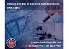 Importance of Cell Line Authentication in Research