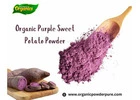 Pure Organic Purple Sweet Potato Powder – Enhance Your Health Naturally!