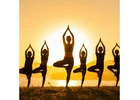 Experience the Amazing Peace at Best Yoga Retreats in Los Angeles