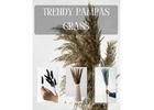 Buy Trendy Pampas Grass Online in India 